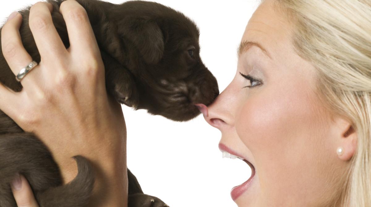 What Does It Mean When a Dog Licks You?