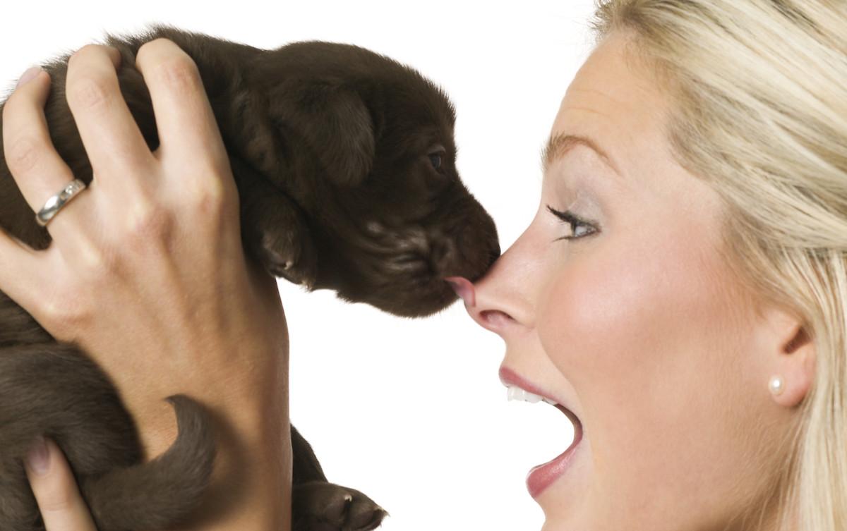 What Does It Mean When a Dog Licks You?
