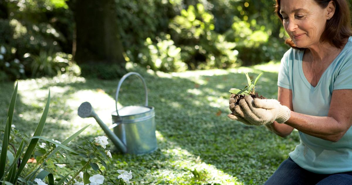 Old woman gardening