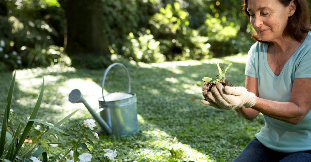 How Gardening at Home Helps the Environment