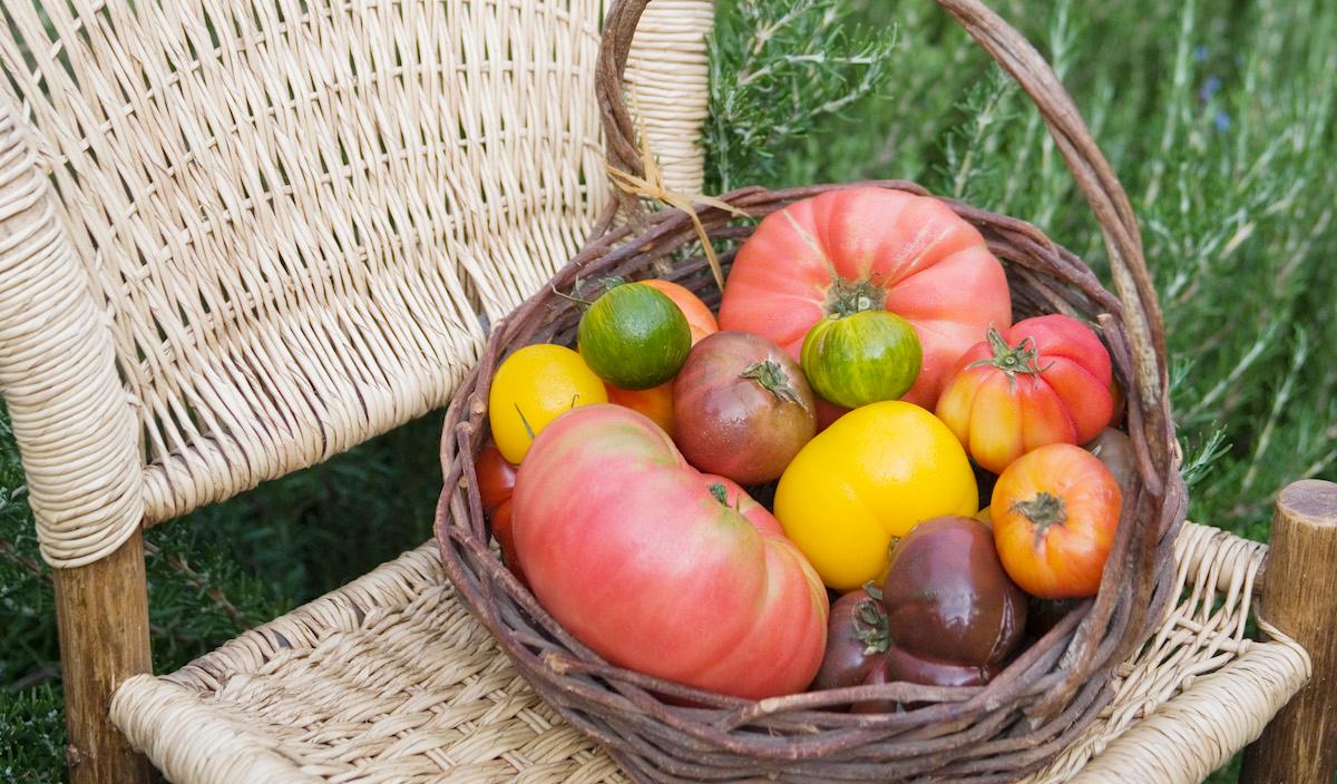 Basket of assorted heirlooms