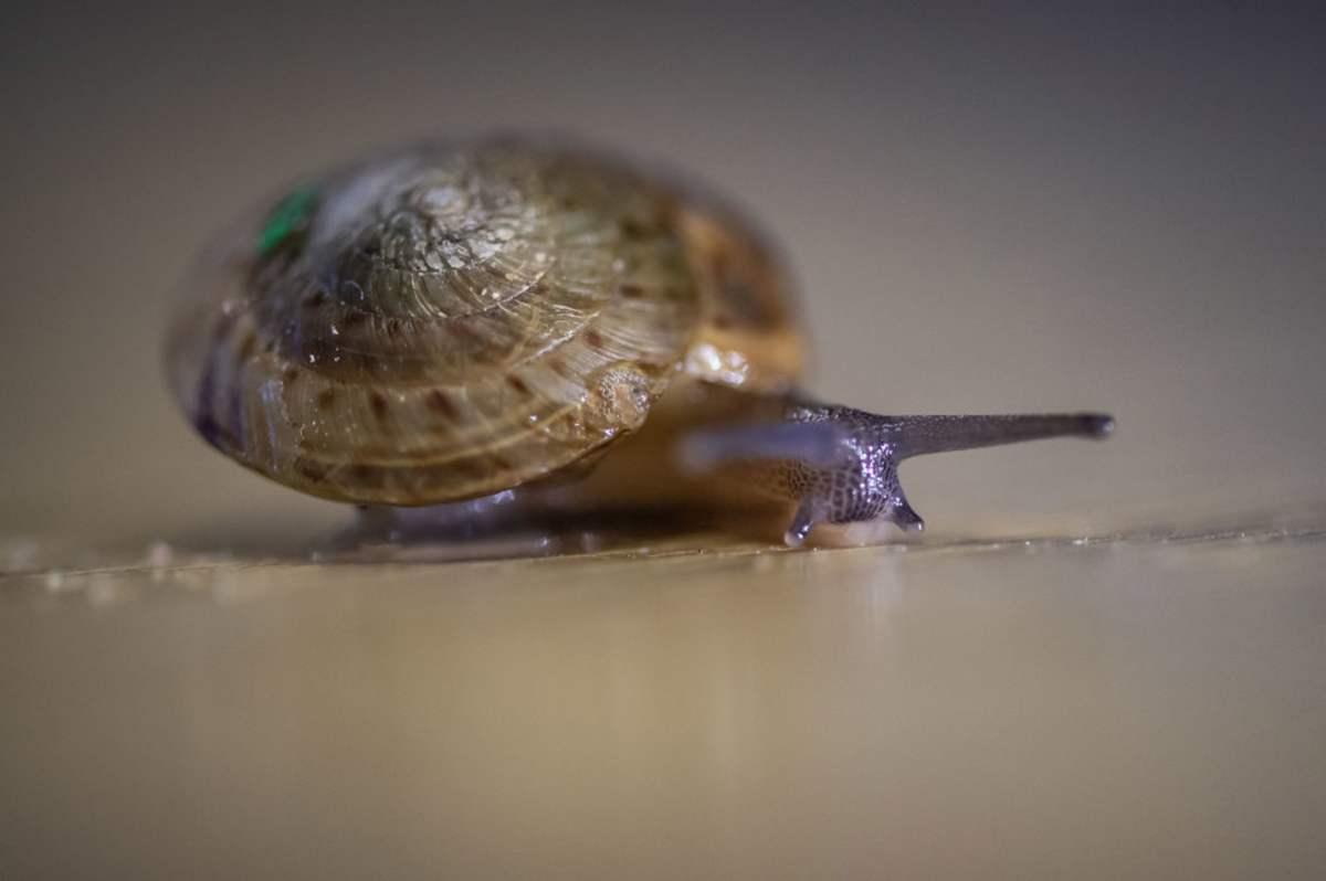 pn/fdcfb bc f ab cfcdad