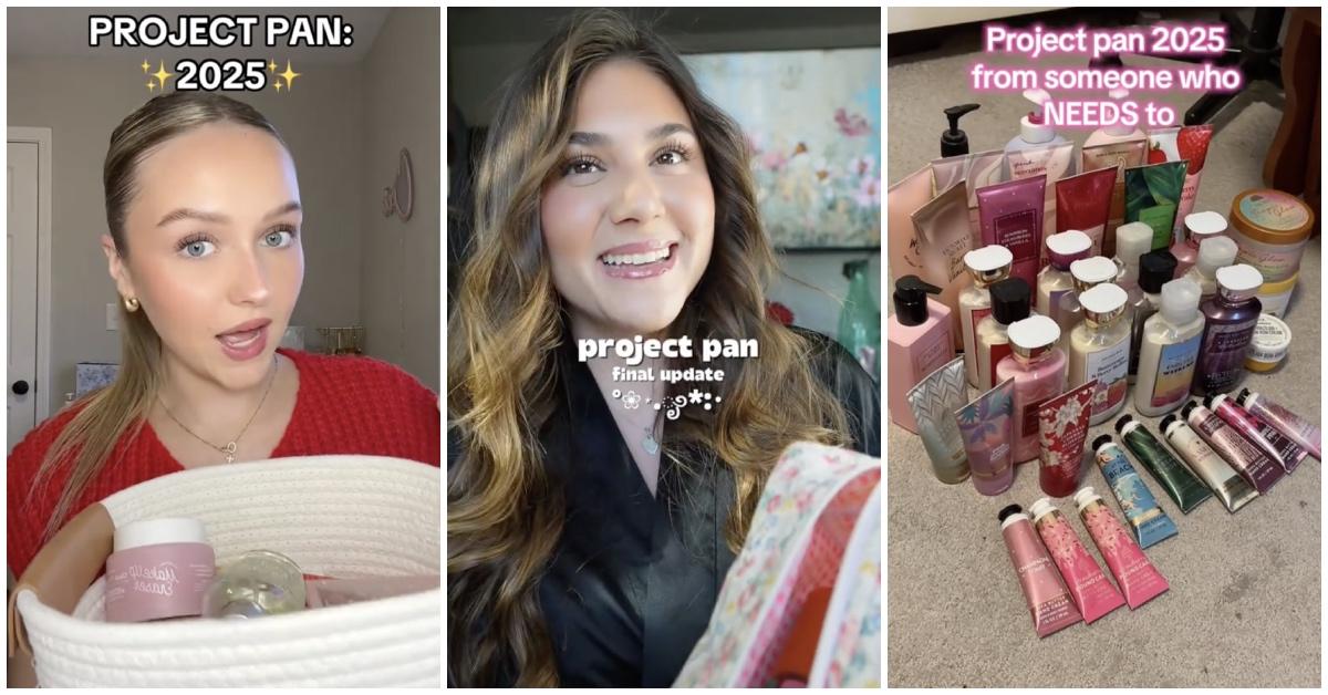 Users talking about "Project Pan" on TikTok