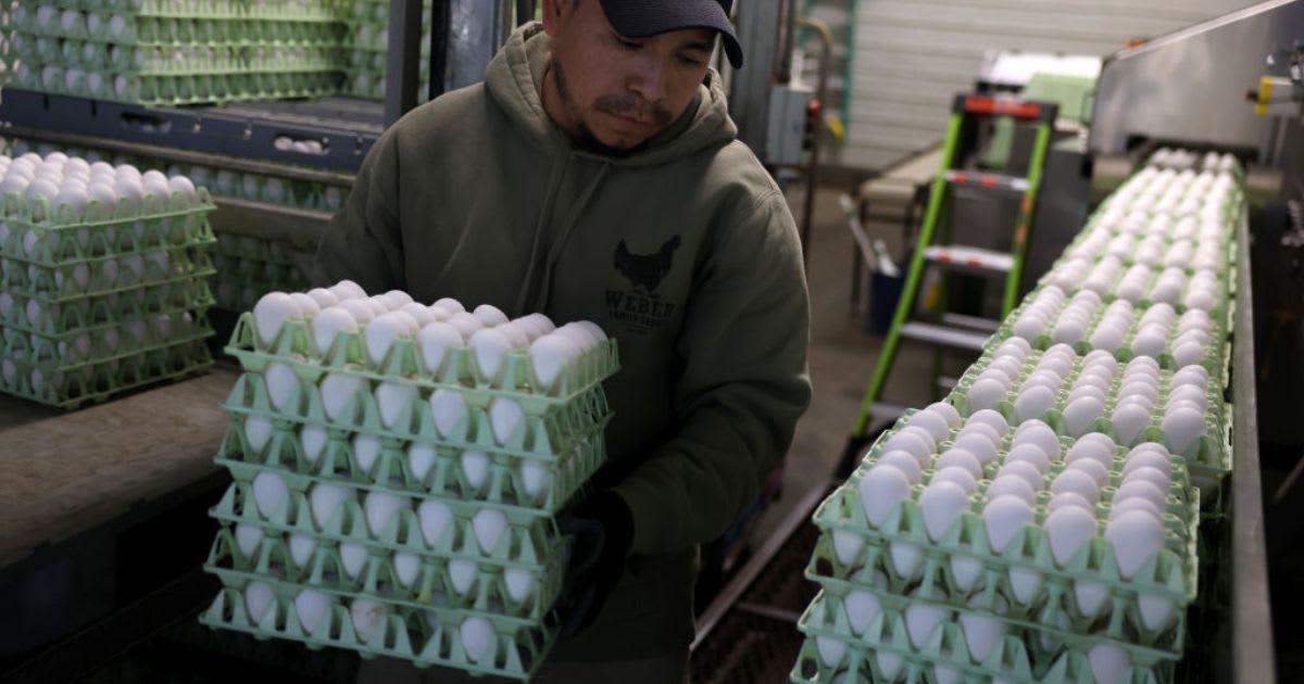 A person carrying egg trays. (Representative Cover Image Source: Getty Images | Justin Sullivan)