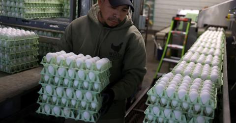 A person carrying egg trays. (Representative Cover Image Source: Getty Images | Justin Sullivan)
