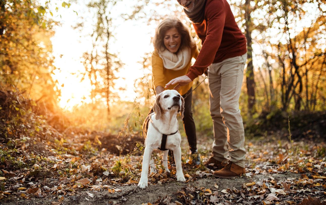 An older couple enjoys a hike at sunrise with their companion dog