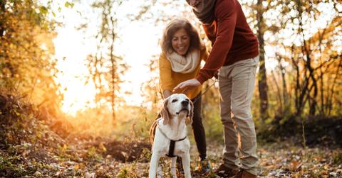 An older couple enjoys a hike at sunrise with their companion dog