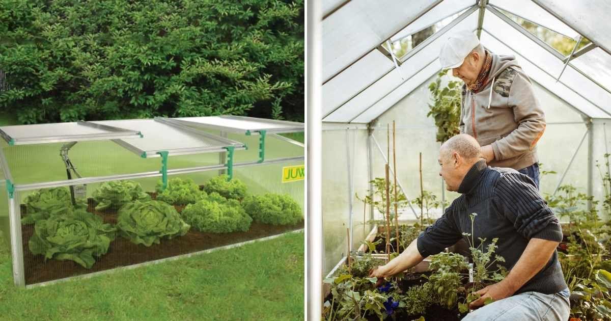(L) Costco's mini greenhouse (Cover Image Source: Costco's official website) | (R) Two senior men in a tiny greenhouse. (Representative Cover Image Source: Getty Images | Maskot)