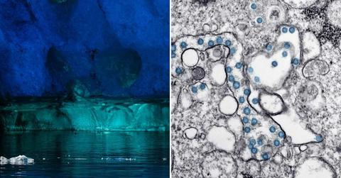 (L) A lake hidden inside a glacial cave. (R) Different kinds of microbes under a microscope. (Representative Cover Image Source: (L) Francesco Ungaro, (R) CDC)