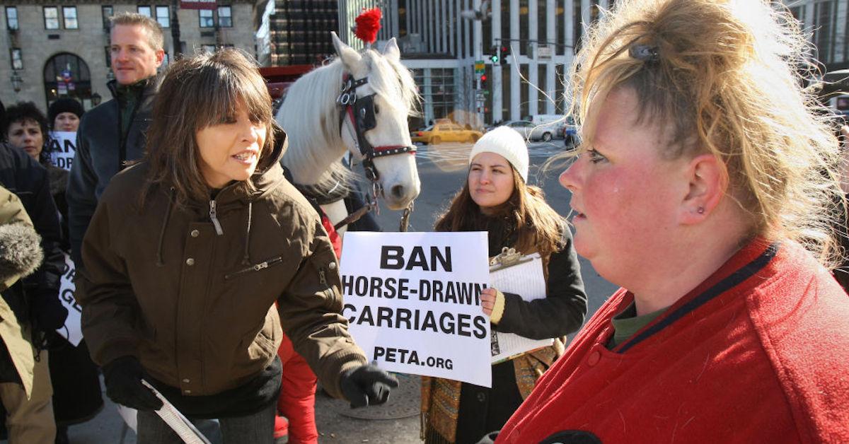 Chicago to ban horse-drawn carriages from 2021