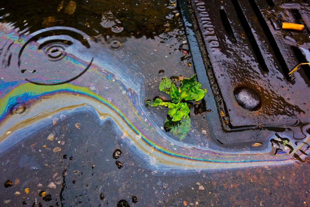 Oil and rain runoff going down a drain. 