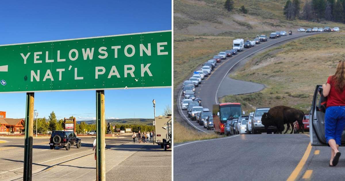 (L) Yellowstone National Park green signboard (R) Traffic backing up in the national park (Representative Cover Image Source: Getty Images | (L) Ceri Breeze, (R) Gqxua)