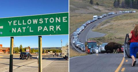 (L) Yellowstone National Park green signboard (R) Traffic backing up in the national park (Representative Cover Image Source: Getty Images | (L) Ceri Breeze, (R) Gqxua)