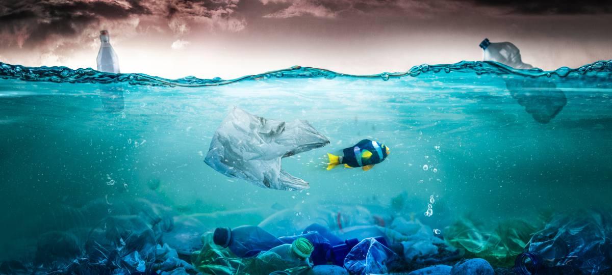 pn/bbb f f bed eeabb