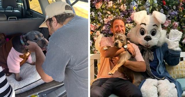 Dave Portnoy's Rescue Pup Miss Peaches Goes Viral