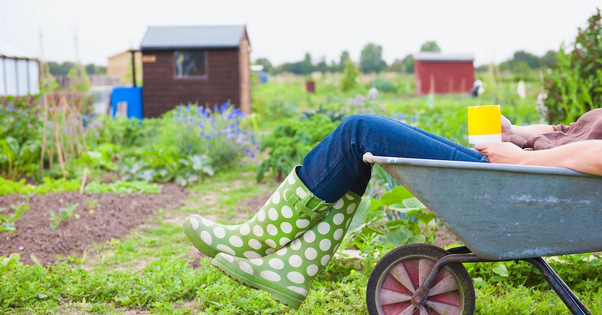 gardening shoes