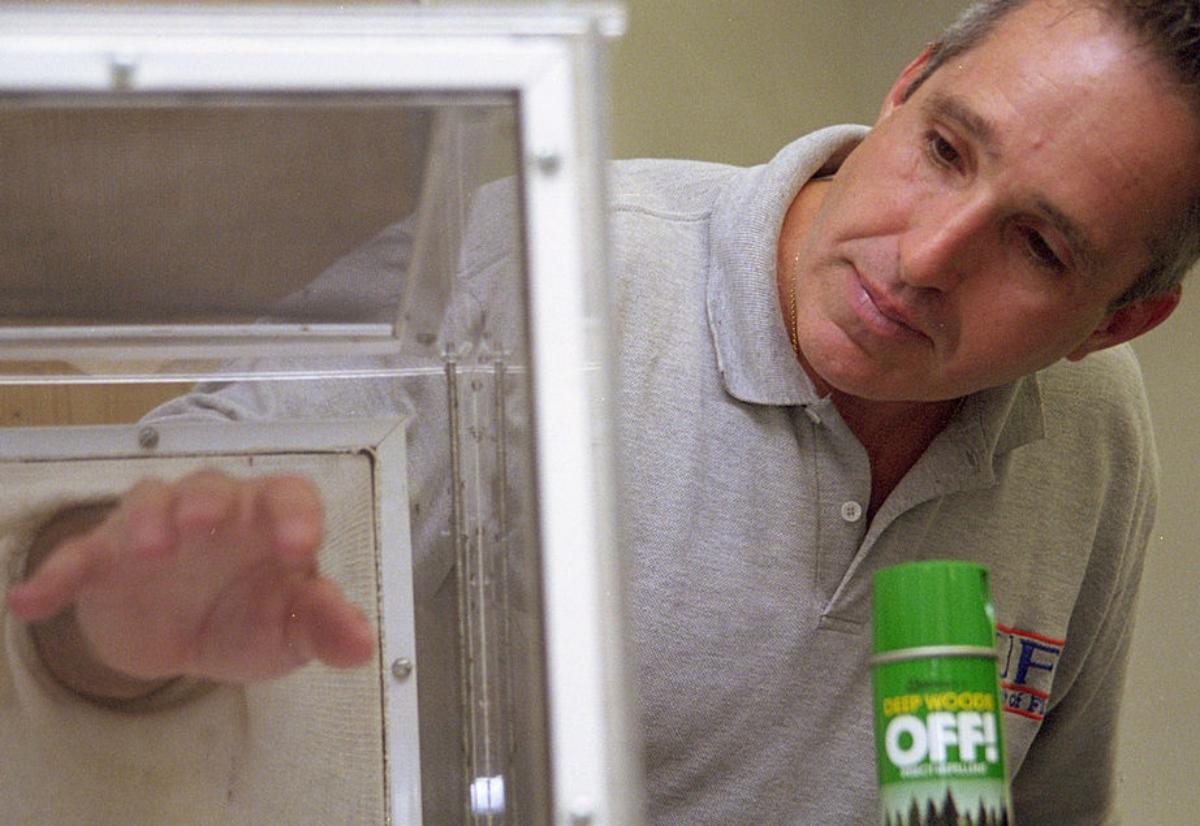 Man putting hand in a box with mosquitoes