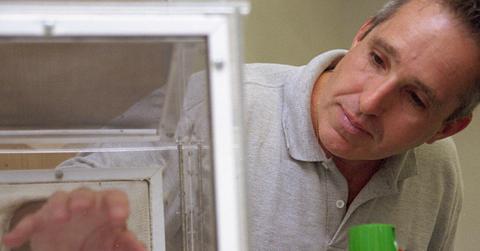 Man putting hand in a box with mosquitoes