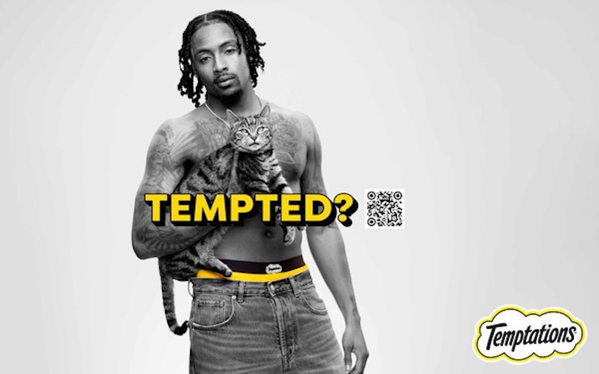 kordell temptations cat