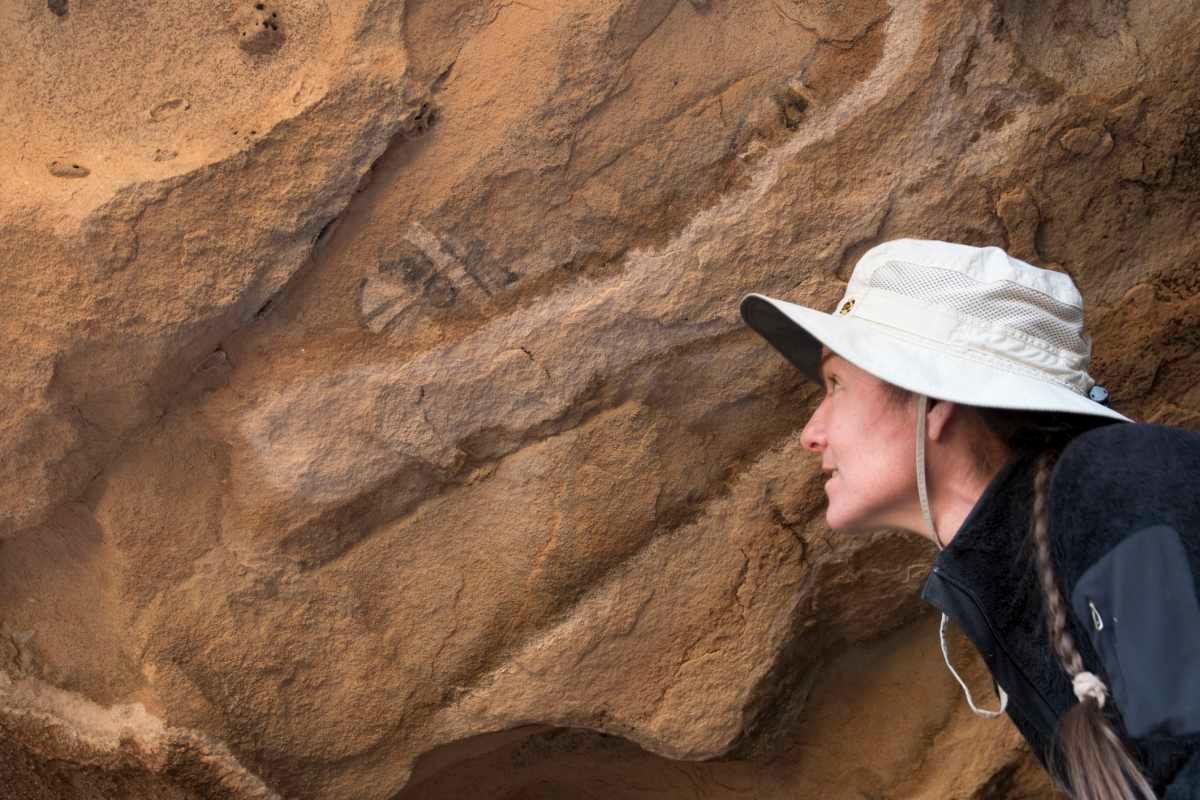 pn/eafa a  ac baeeba