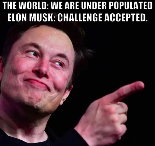 Meme of Elon Musk pointing his finger with the text: "The World: We are under populated. Elon Musk: Challenge Accepted."