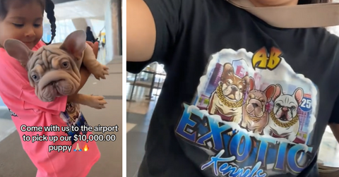 A woman is under fire after spending $10,000 on a rare type of Frenchie