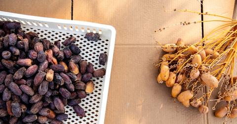 A pile of Medjool dates on a white crate at Sam Cobb Farms in Blythe, CA