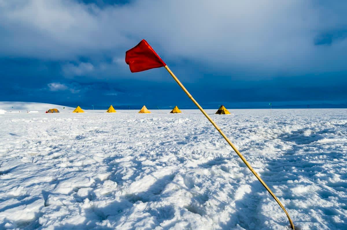 pn/aae ee a de faccf