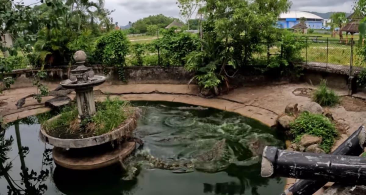 pn/ddc cd c ea abbddb