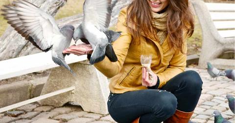 A woman feeding the pigeons in a park. (Representative Cover Image Source: Freepik | Boryanam)