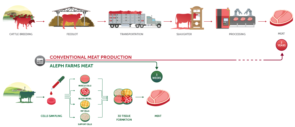 alephfarms infographics