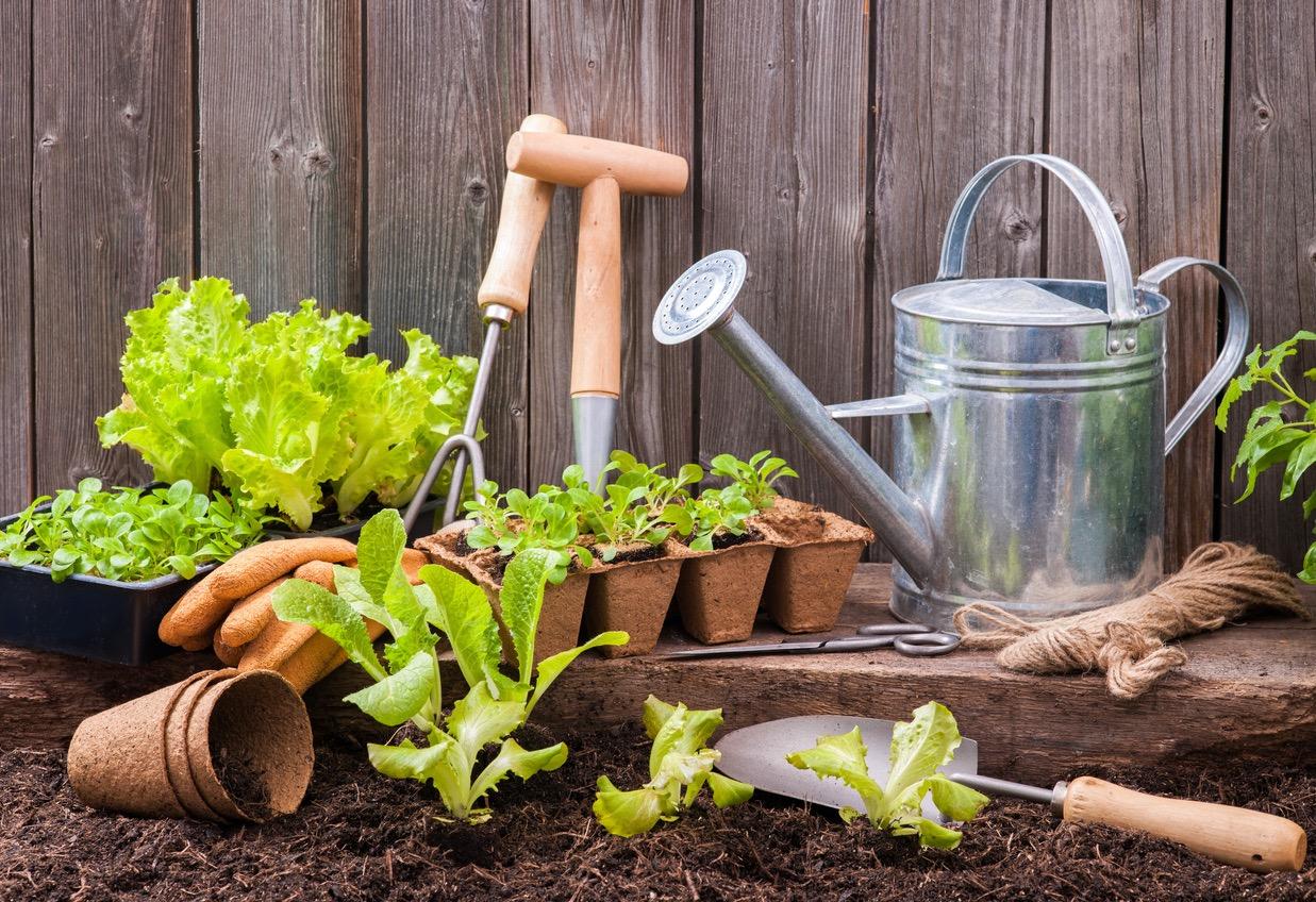 Beginner gardening supplies propped up against a fence outside