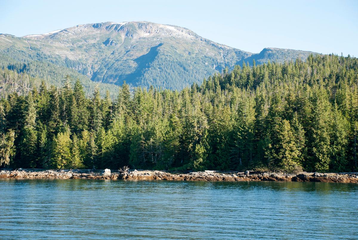 trump tongass national forest