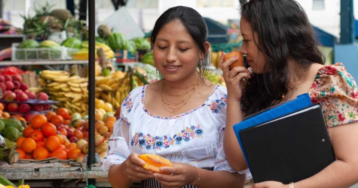 Two women inspecting fruit from a retail market. (Representative Cover Image Source: Getty Images | Raul Llopis Martin)