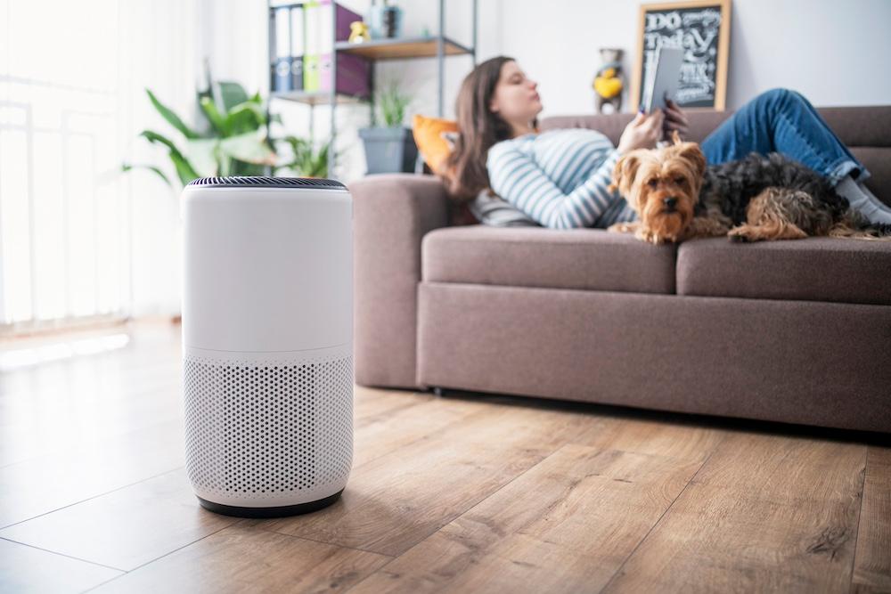 A person and dog on a living room couch next to an air purifier.