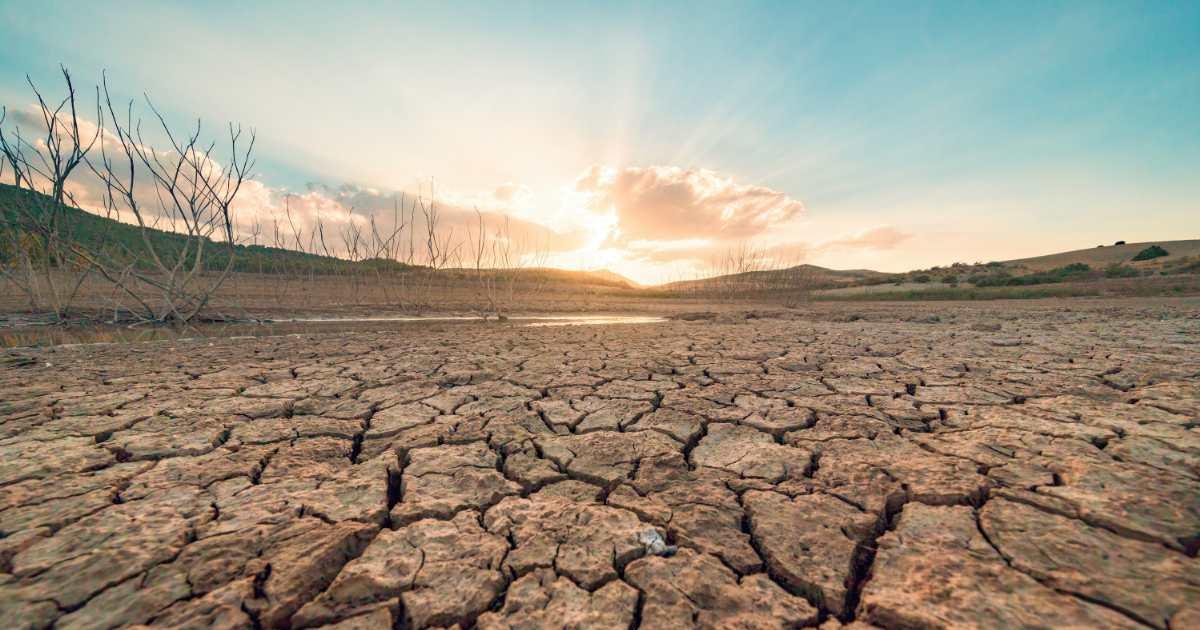 pn/eeab ba ce  dcfafd