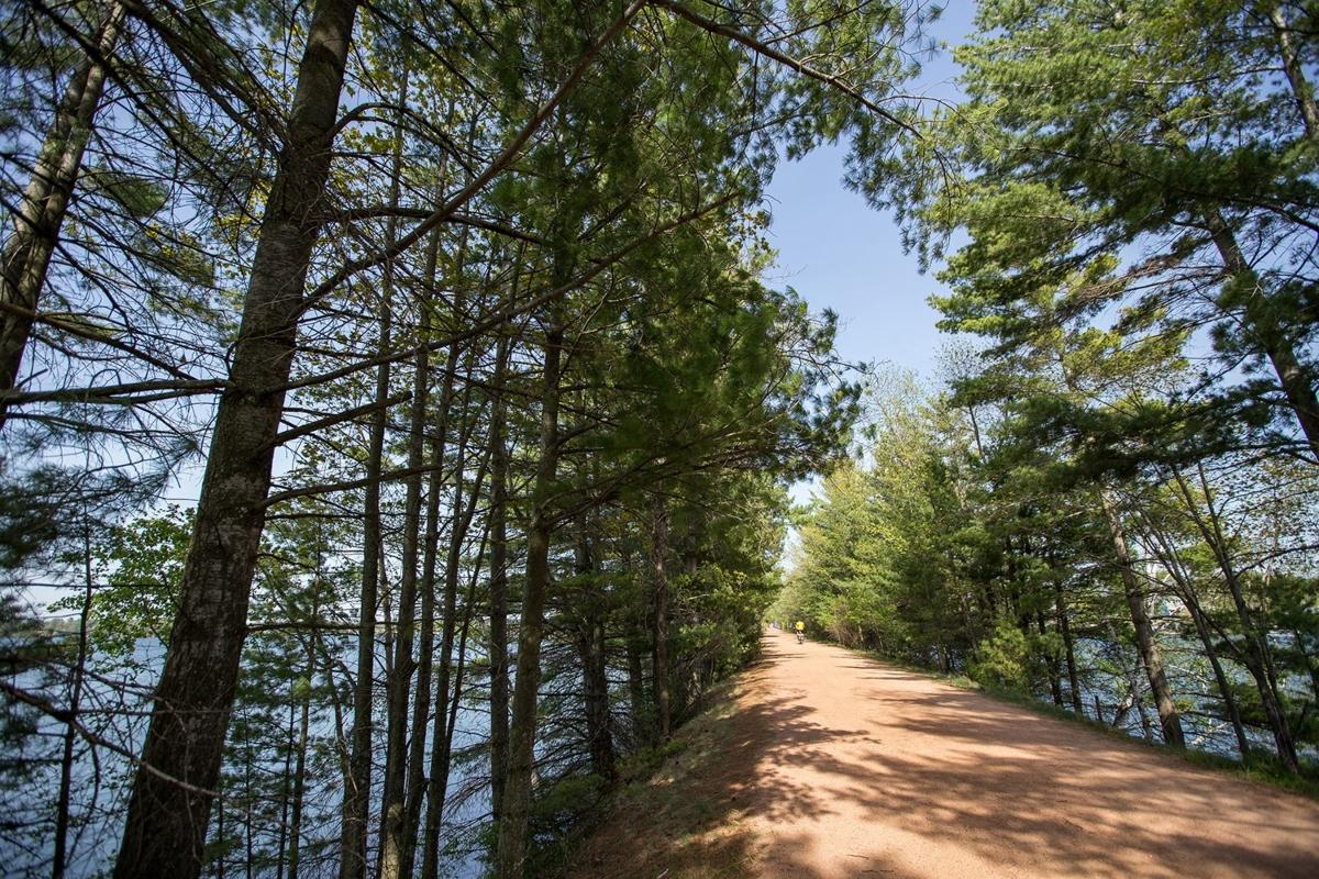 Bike trail through forest along river 