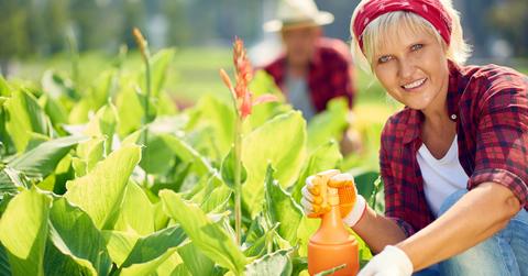 weed killer garden diy