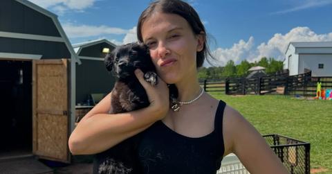 millie bobby brown with her dog