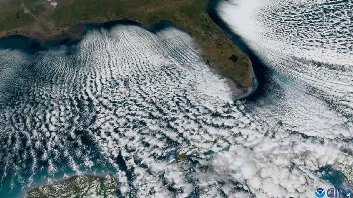 pn/ff ff df eb ffacad