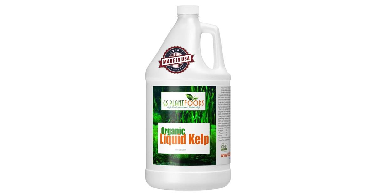 Organic Kelp Fertilizer in a white bottle with handle