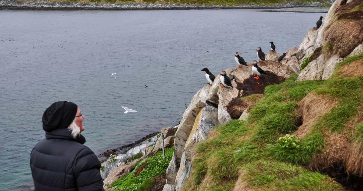 An old woman is watching puffins at the edge of a cliff. (Representative Cover Image Source: Getty Images | Ingunn B. Haslekaas)