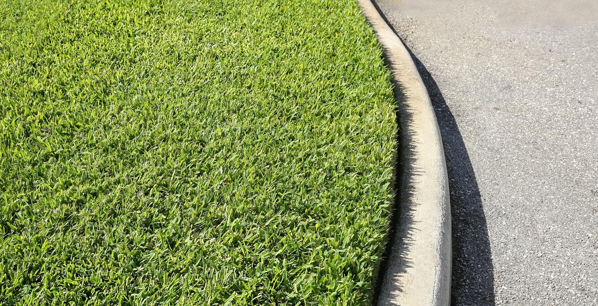 A patch of freshly cut St. Augustine grass close to a curb. 