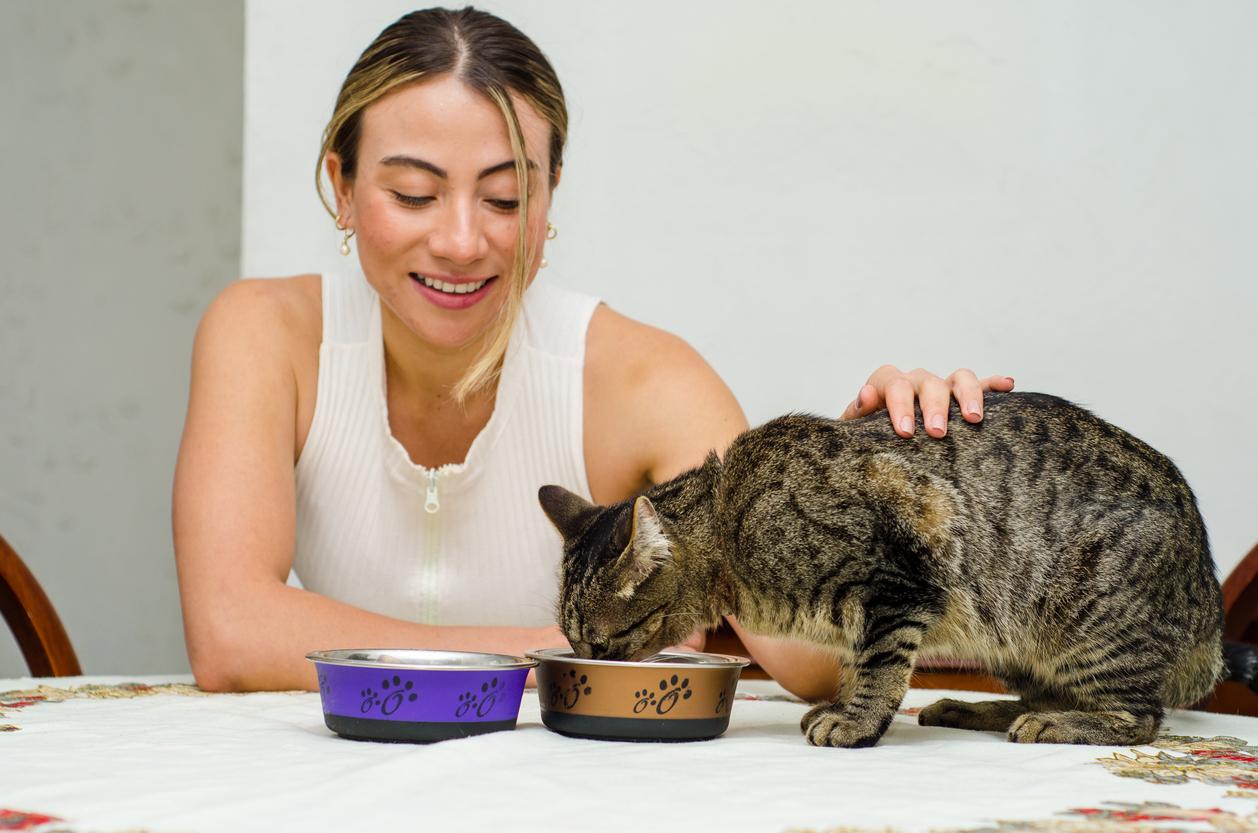 A smiling woman in a white shirt pets her companion cat, who is eating from two cat bowls.