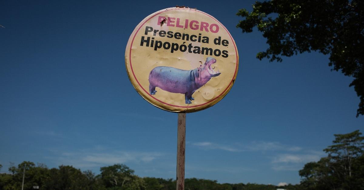 Warning sign that hippos are present.