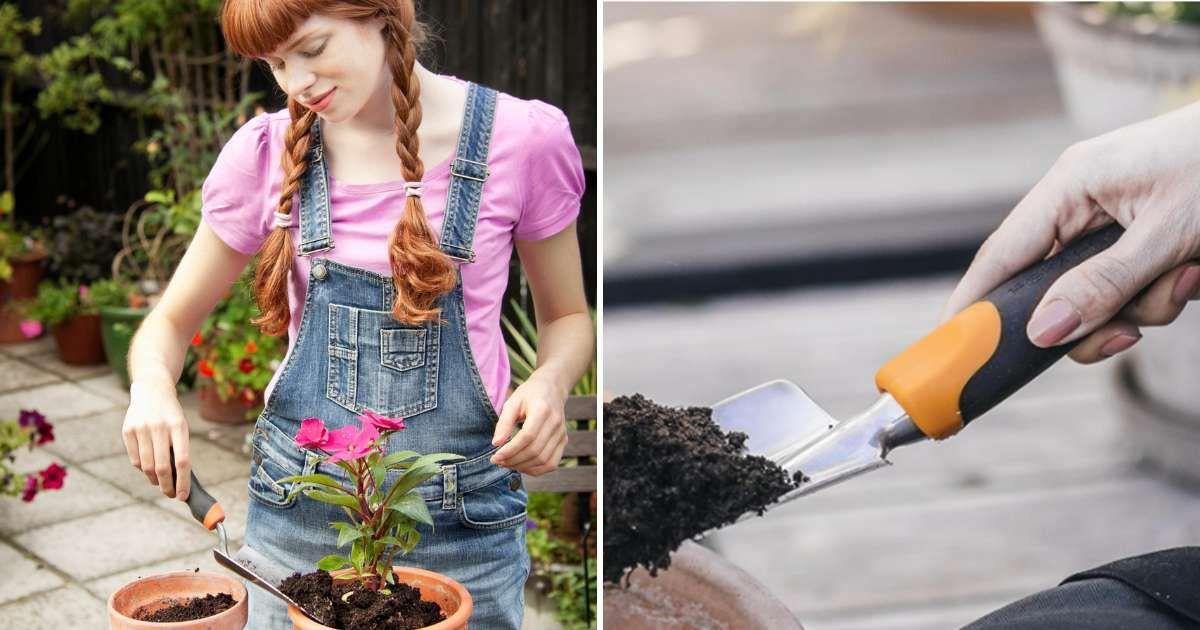 (L) Woman uses a trowel in a planting pot (Representative Cover Image Source: Getty Images | Ban der van Meer) | (R) Hand trowel from Fiskars available on Amazon (Cover Image Source: Amazon)