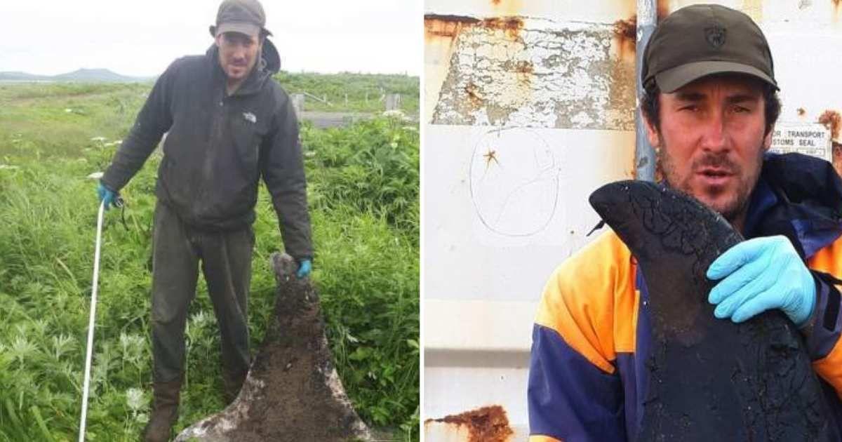 Researcher Sergey Fomin found orca fins covered in bite marks on Bering Island in 2022 and 2024 (Cover Image Source: Marine Mammal Science)