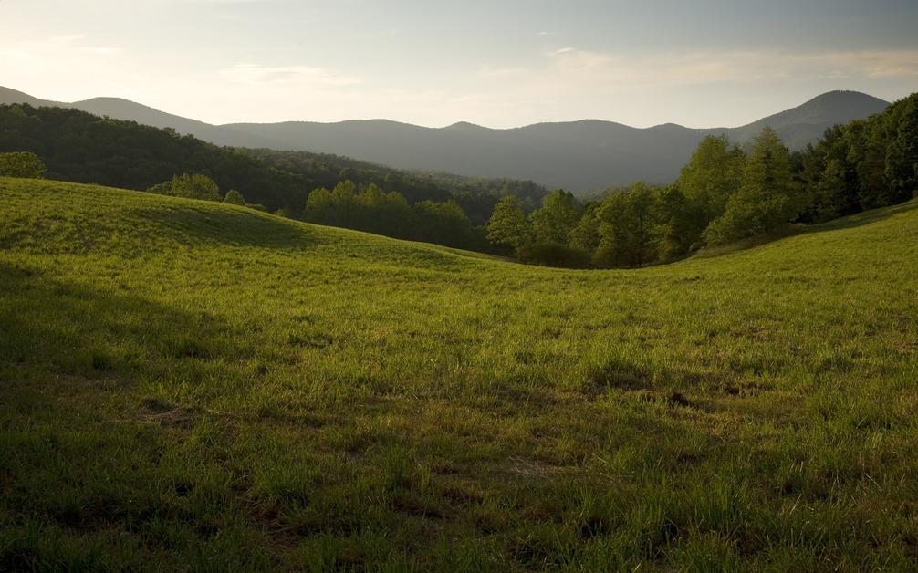 A lush grassy field with golden sunlight and a mountain range in the background. 