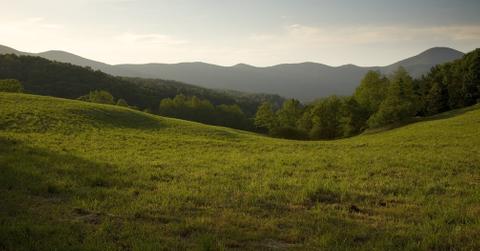 A lush grassy field with golden sunlight and a mountain range in the background.
