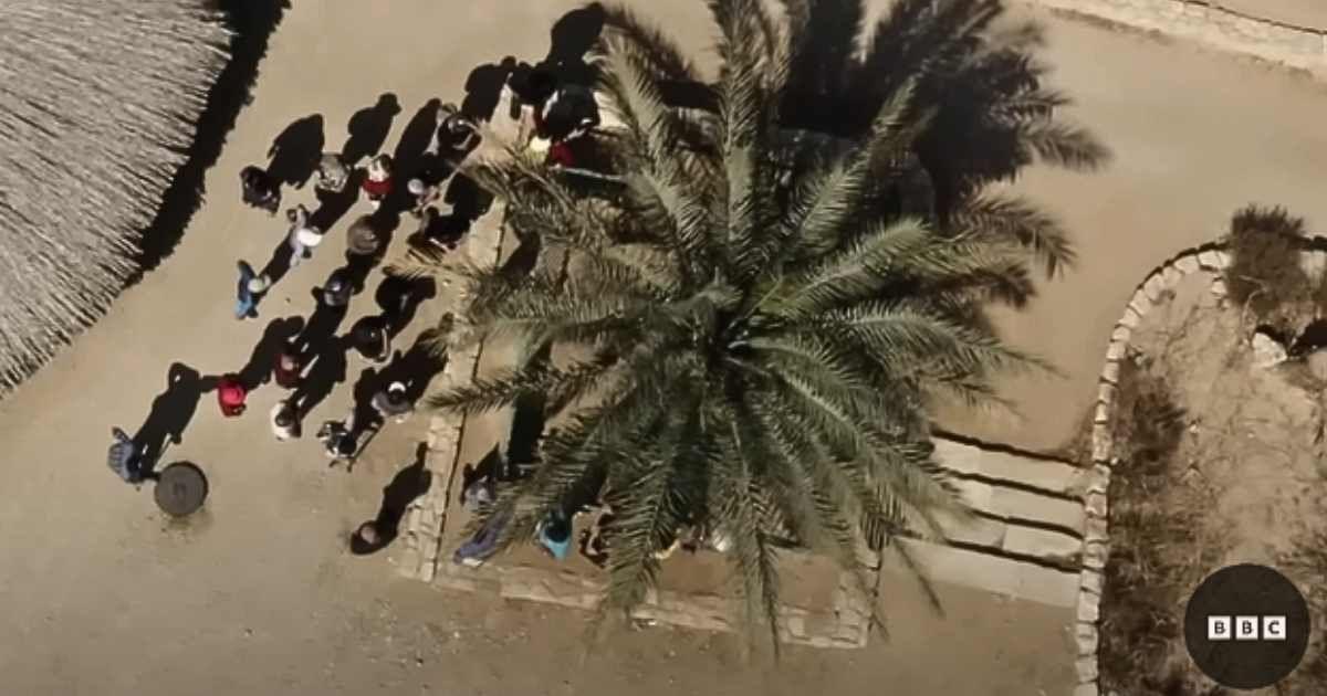 Visitors watch the stunning resurrection of Judaen date palm. (Cover Image Source: YouTube | @BBC_Global)